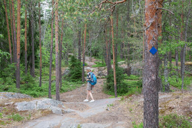 Retkeilijä Hallaivuorella.