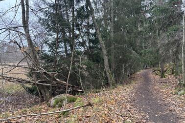 Photograph of a path in the Stansvik recreation area.