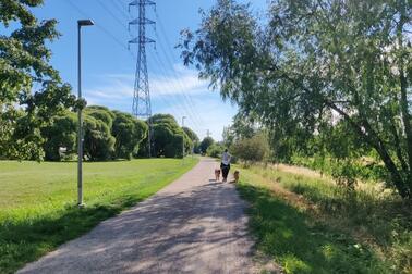 Hiekkatiellä ulkoilee nainen kahden koiran kanssa. Tien vasemmalla puolella on niittyä ja voimalinja. Oikealla puolella on oja ja matalia puita.