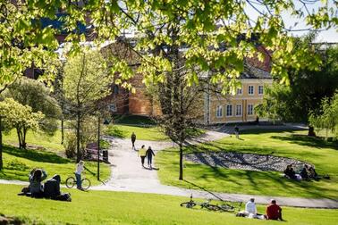 Ihmisiä vehreässä puistossa aurinkoisena päivänä.