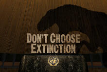 Kampanjakuva, joss ateksti Don't choose extinction.