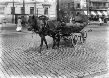 Kuorma-ajuri Kauppatorilla 1910-luvulla. Kuva Vin Kannisto. HKM