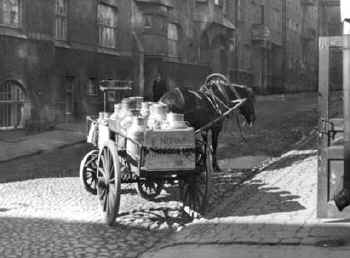 Maitohevonen Kruununhaassa. Kuva Sakari Plsi 1923. HKM